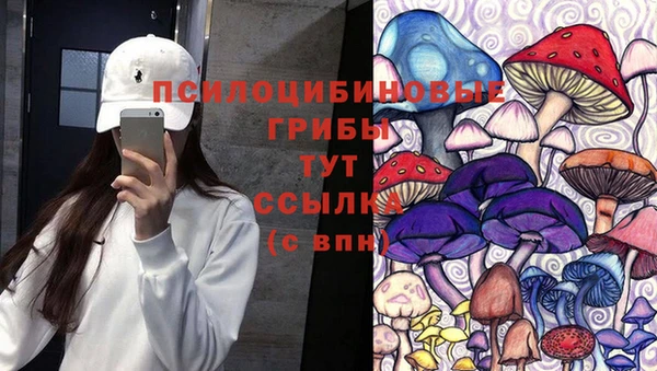 спайс Заводоуковск